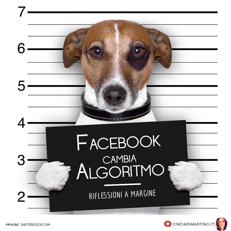 Facebook cambia algoritmo: riflessioni a margine