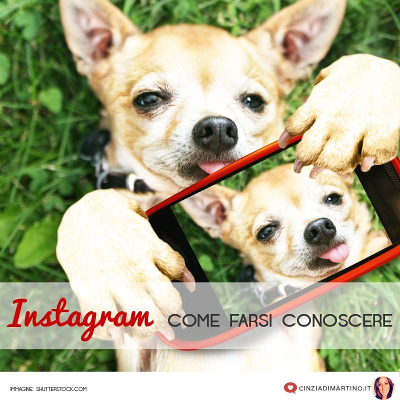 Come farsi conoscere su Instagram